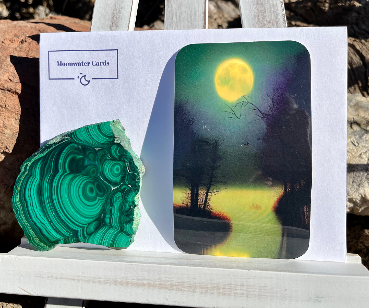 Moon-Night Pond Sticker